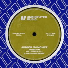 Junior Sanchez: Freedom (feat. Charlie Vox) (Sam Divine Remix)