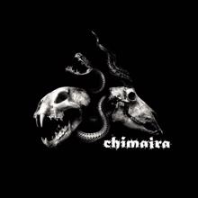 Chimaira: Down Again (Live)