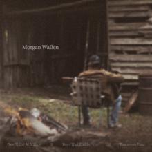 Morgan Wallen: One Thing At A Time (Sampler)