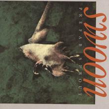 Prefab Sprout: Swoon