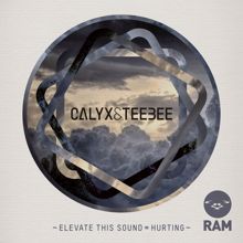 Calyx & TeeBee: Elevate This Sound / Hurting