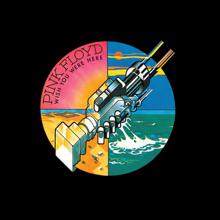 Pink Floyd: Have A Cigar (Alternative Version)