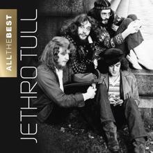 Jethro Tull: Roots to Branches (2006 Remaster)