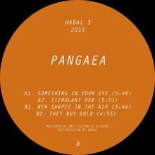 Pangaea: Something in Your Eye