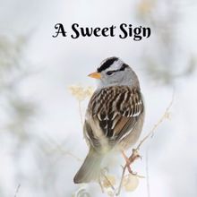 Rain Sounds: A Sweet Sign