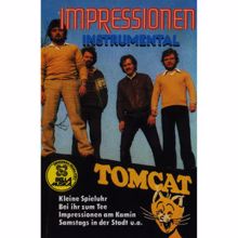 Tomcat: Bei ihr zum Tee