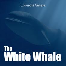 L.porsche: The White Whale