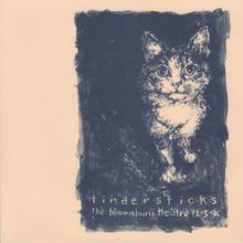 Tindersticks: No More Affairs (Live At The Bloomsbury Theatre, London / 1995)