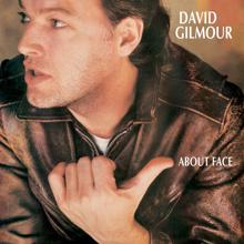 David Gilmour: About Face