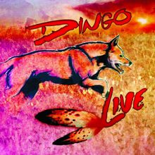 Dingo: Rio Ohoi