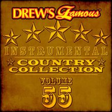 The Hit Crew: Drew's Famous Instrumental Country Collection (Vol. 55)