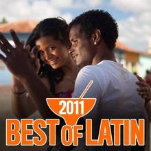 The Latin Chartbreakers: Best of Latin 2011