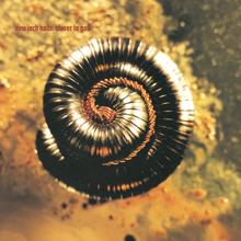 Nine Inch Nails: Closer To God