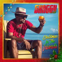 Shaggy: Raggamuffin Christmas (feat. Junior Reid & Bounty Killer)