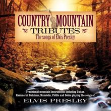 Craig Duncan: Burning Love (Country Mountain Tributes: Elvis Presley Album Version) (Burning Love)