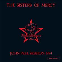 The Sisters Of Mercy: John Peel Session: 1984