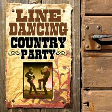 The Nashville Riders: Line Dance Country Party