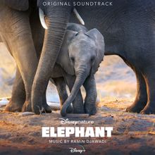Ramin Djawadi: Elephant (Original Soundtrack)