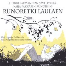 Jukka Välipakka: Puuhapäivä