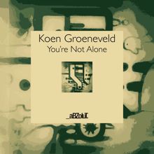 Koen Groeneveld: You're Not Alone