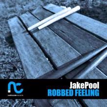 Jakepool: Robbed Feeling