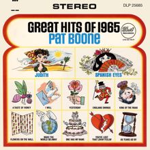 Pat Boone: Great Hits Of 1965