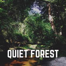 Nature Sounds: Quiet Forest