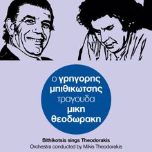 Grigoris Bithikotsis: Vrehi Sti Ftohogitonia (From "Sinikia To Oniro")