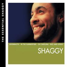 Shaggy: Get Up Stand Up