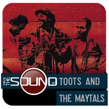 Toots & The Maytals: Louie Louie (Album Version) (Louie Louie)