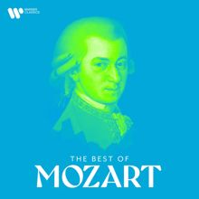 Sir Neville Marriner: Mozart: Symphony No. 25 in G Minor, K. 183: I. Allegro con brio (Excerpt)