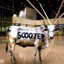 Scooter: Behind The Cow