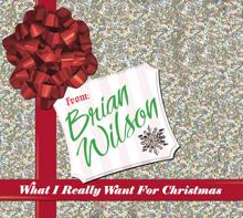 Brian Wilson: What I Really Want For Christmas