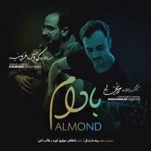 Mohammad Shahabi feat. Kourosh Ghazvineh: Almond (Badam)