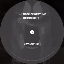 Davidovitch: Tiger of Neptune (Original Mix)