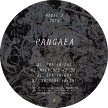 Pangaea: Pob