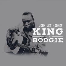 John Lee Hooker: I Rolled And Turned And Cried The Whole Night Long