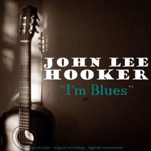 John Lee Hooker: I'm in the Mood (Remastered)