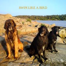 Ebbot Lundberg: Swim Like a Bird