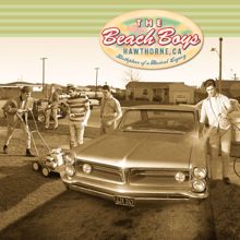 The Beach Boys: Salt Lake City (Session Highlights / Remastered 2001) (Salt Lake City)