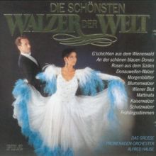 Alfred Hause: Walzer in B-Moll aus der Sinfonie No. 8