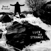 David Gilmour: Luck and Strange (Edit)