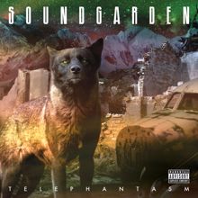 Soundgarden: Telephantasm (Deluxe Edition) (TelephantasmDeluxe Edition)