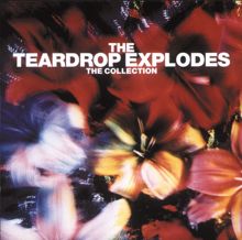 The Teardrop Explodes: The Collection