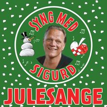 Sigurd Barrett: Julesange Og Julesalmer - Syng Med Sigurd