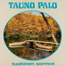 Tauno Palo, Dallapé-orkesteri: Aron tyttö