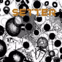 Setter: Seven Nights