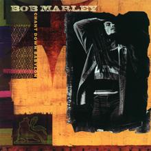 Bob Marley, Erykah Badu: No More Trouble