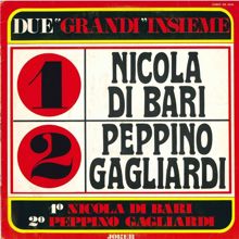 Various Artists: Due grandi insieme