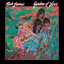 Rick James: Don't Give Up On Love